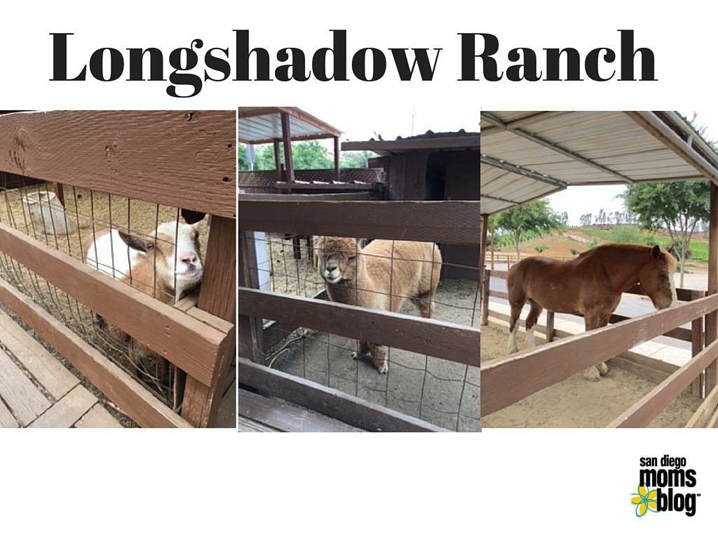 Long Shadow Ranch temecula winery