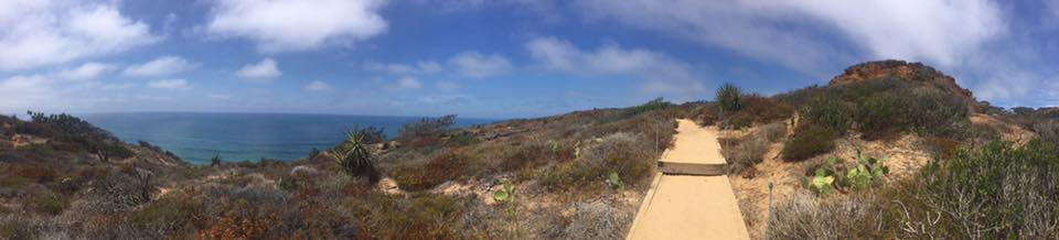 torrey pines highway 101 pacific coast