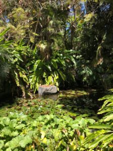 botanical garden in encinitas