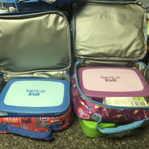 lunch boxes that fit bentgo