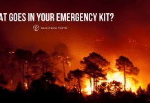 What goes in your emergency kit