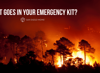 What goes in your emergency kit