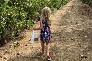 girl picking apples