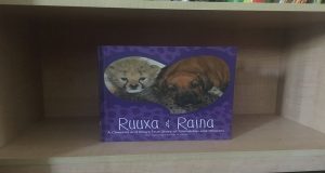 Ruuxa and Raina displayed on a bookshelf