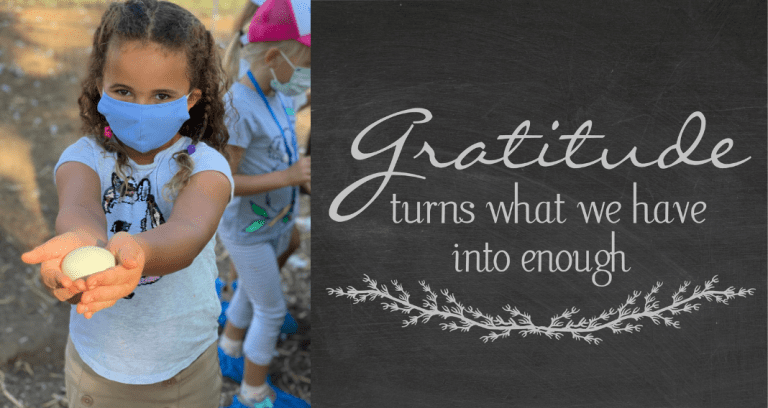 Back to Our Roots: Inspiring Gratitude at Camp