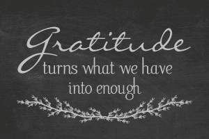 gratitude -2