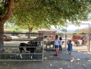 Go Inside This Family's California Animal Farm