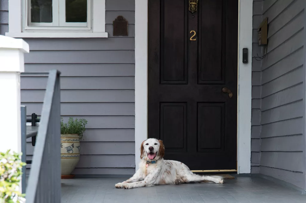 homelife video door with dog