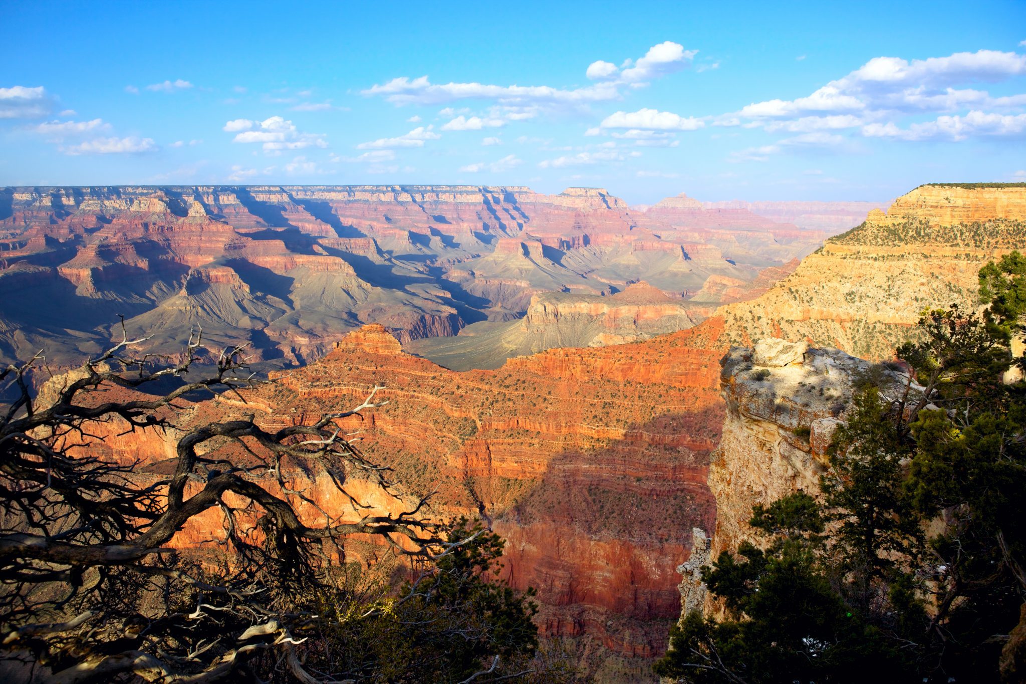 Four Great Summer Road Trips From San Diego