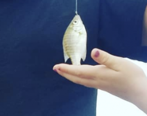 small fish on a hook