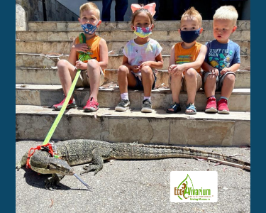 6 Reptile with kids