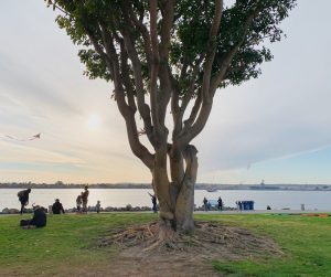 downtown San Diego public parks