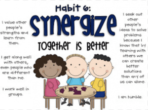 Habit 6: Synergize