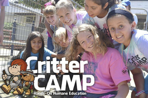 critter camps