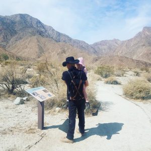 Anza-Borrego State Park