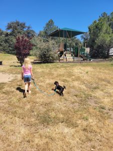 Pet-friendly and Kid-friendly Fun at Oakzanita Springs