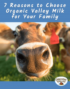 happy cow organic valley milk