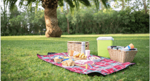 Picnic in the park