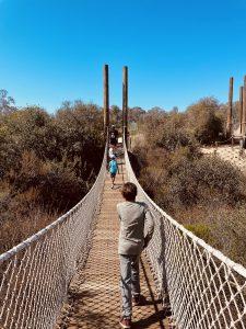 kid-friendly biking and hiking in San Diego