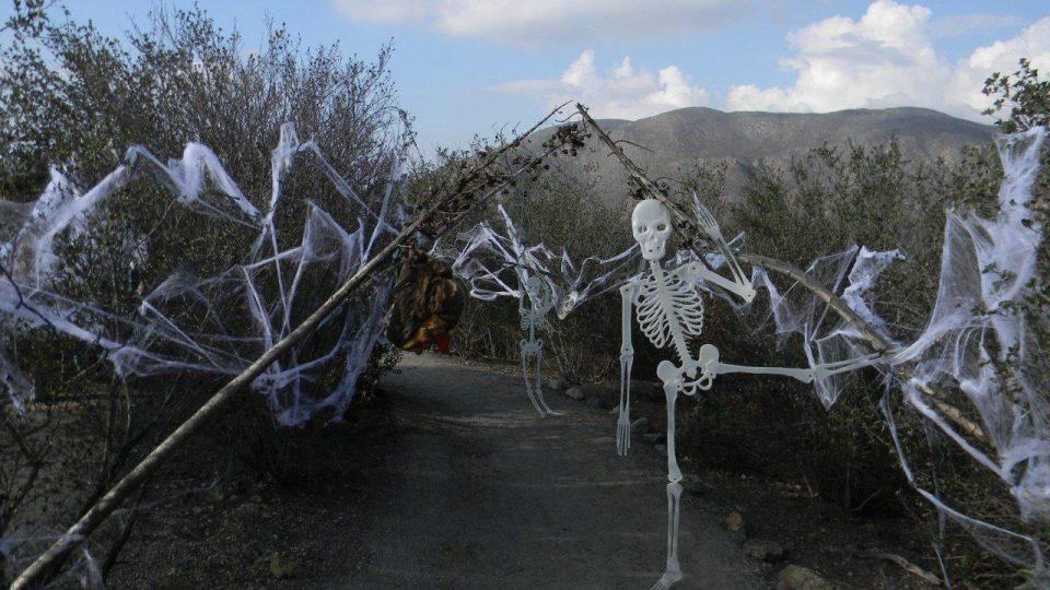 Hunted Trail with Halloween Decorations