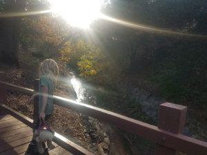 Trail at Flinn Springs County Park