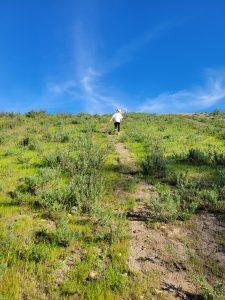 Hiking at Chollas Lake