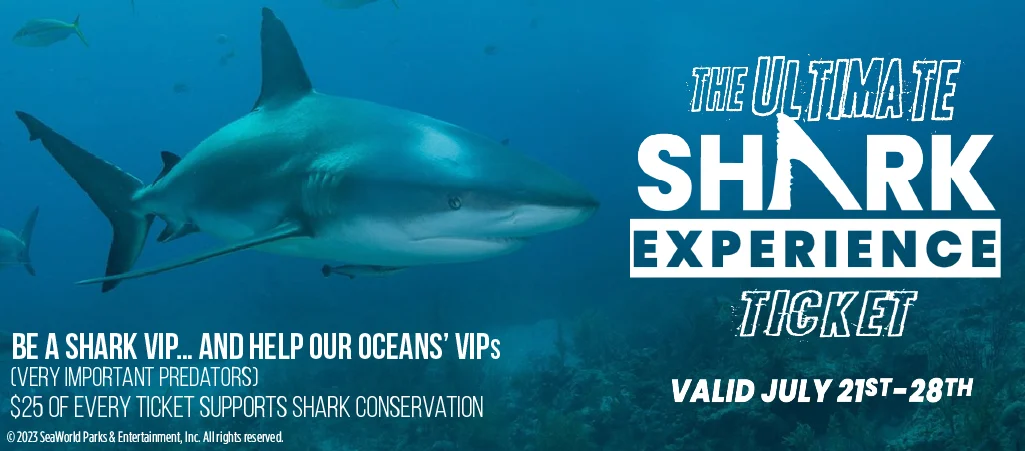 The ultimate Shark Experience SeaWorld flyer