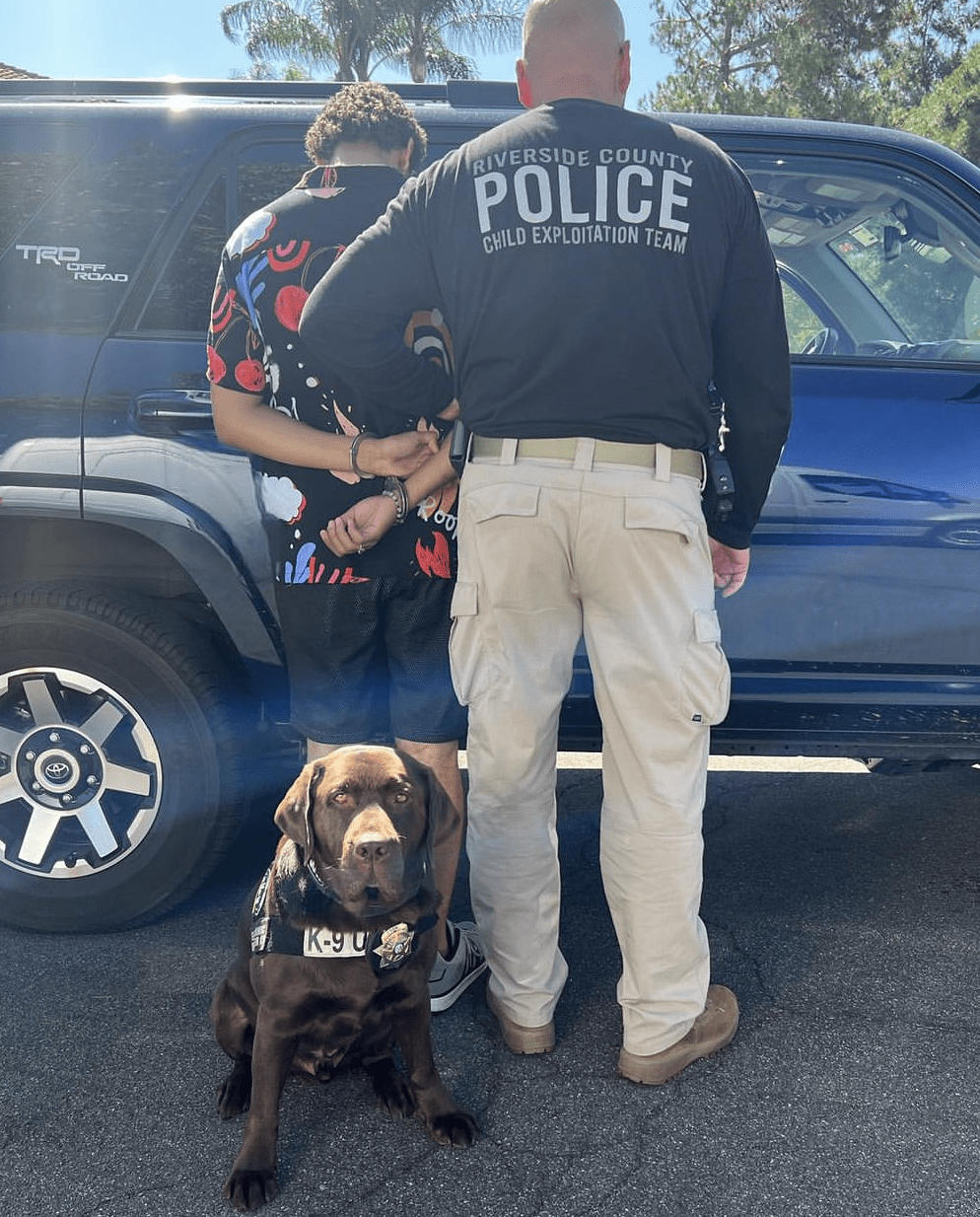 police and k9