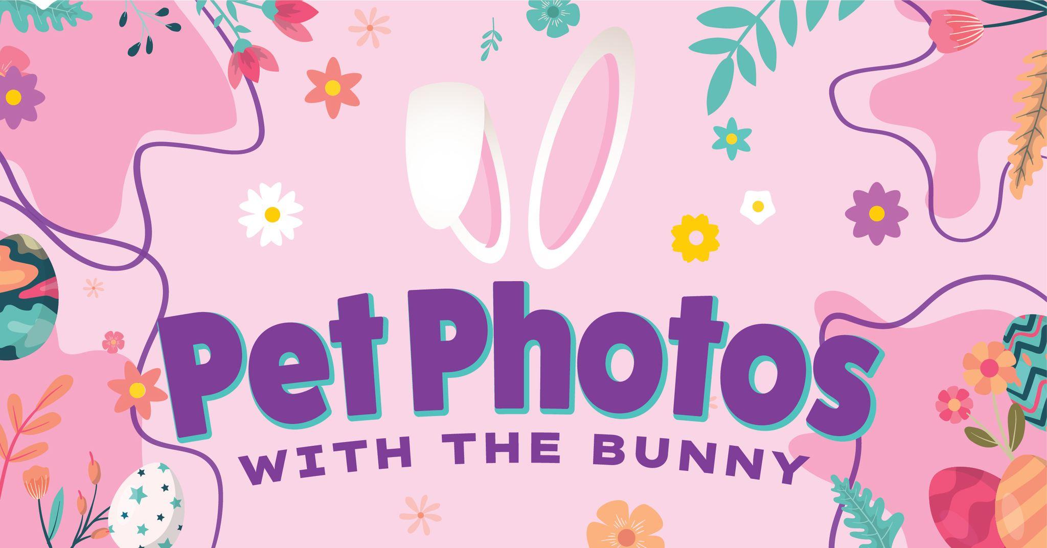 pet photos with bunny