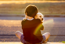 boy holding dog with rainbow