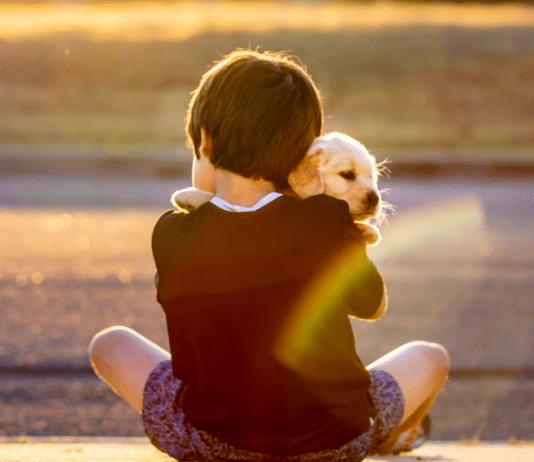 boy holding dog with rainbow